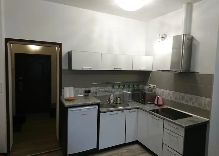 Izerski Relaks Apartment Swieradow-Zdroj